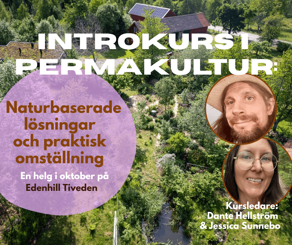 Introkurs i permakultur på Edenhill Tiveden